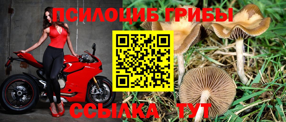 Псилоцибиновые грибы мухоморы  Псилоцибиновые грибы Magic Shrooms  Алексин 