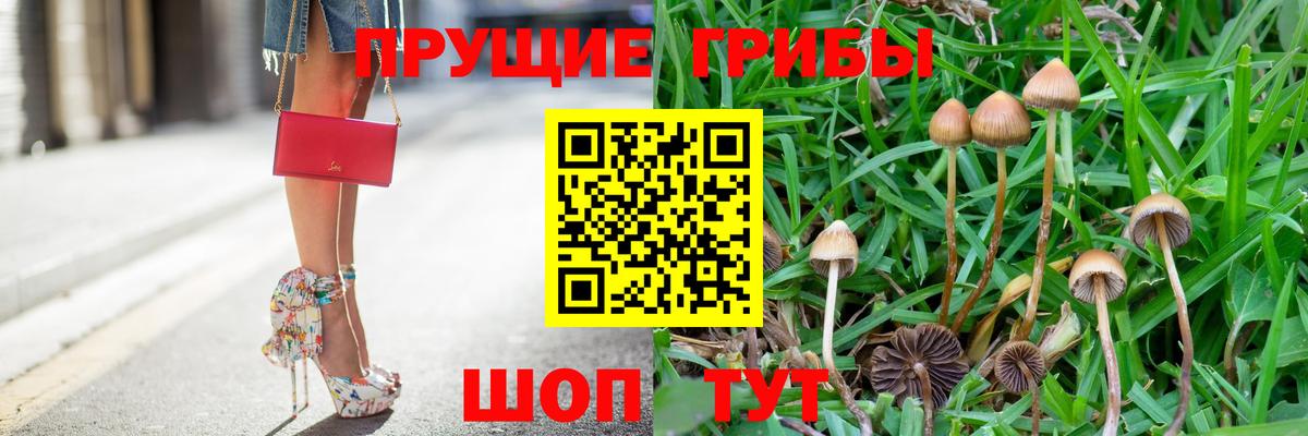 Галлюциногенные грибы мицелий Алексин