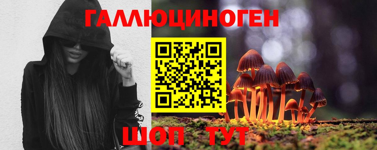 Галлюциногенные грибы мицелий  закладка  Вход с VPN  Алексин  Псилоцибиновые грибы мицелий 